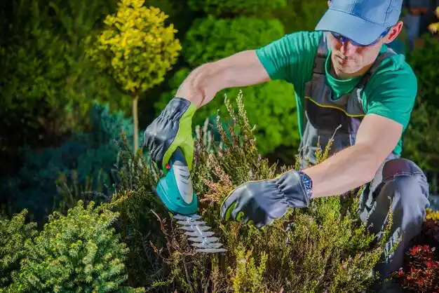 landscaping services Iota